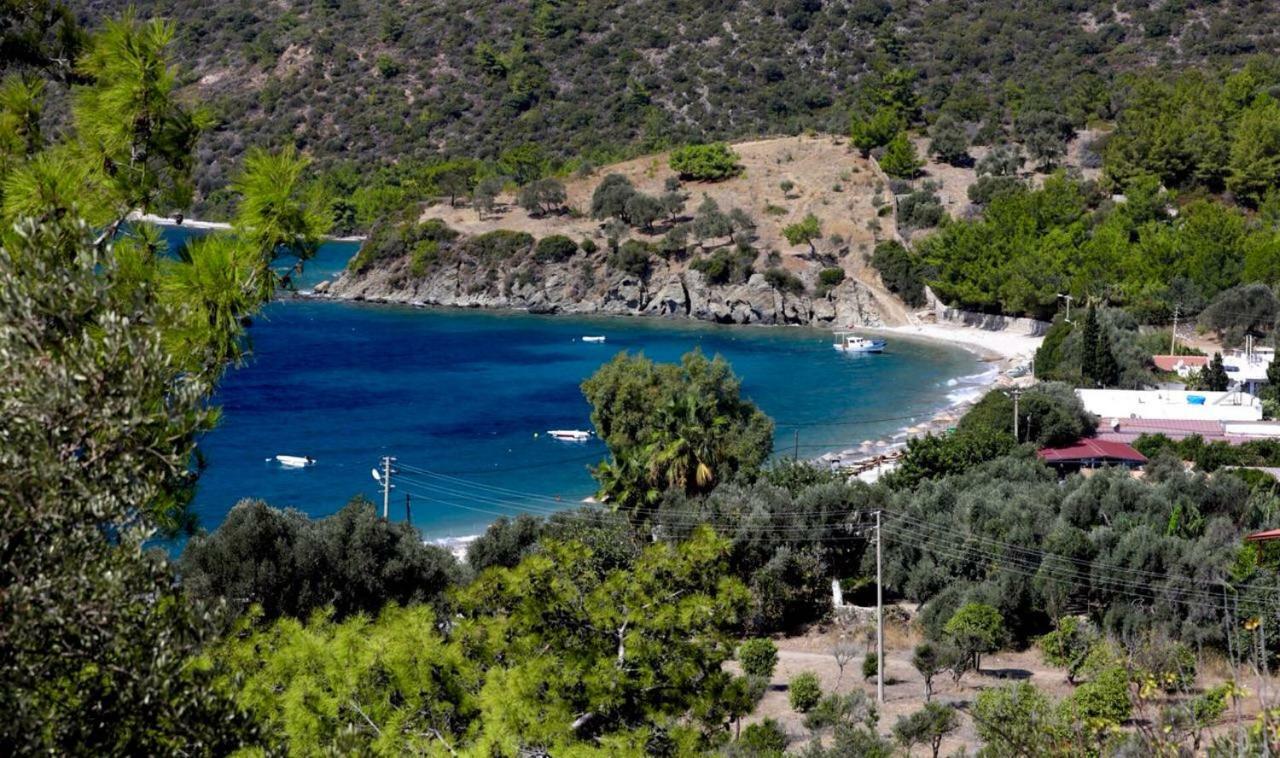 Ege Pansiyon Hostel Bodrum Exterior photo